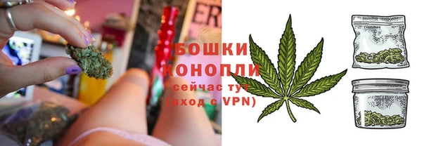 PSILOCYBIN Иннополис