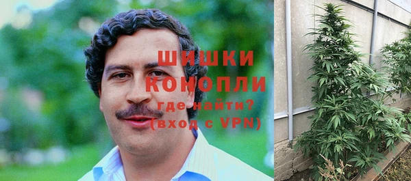 PSILOCYBIN Иннополис