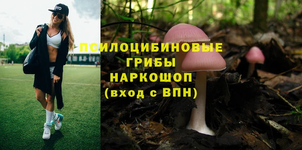 PSILOCYBIN Иннополис