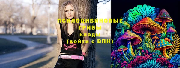 МДПВ Инта