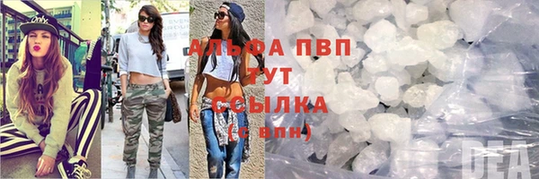 МДПВ Инта