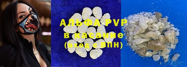 PSILOCYBIN Каменка