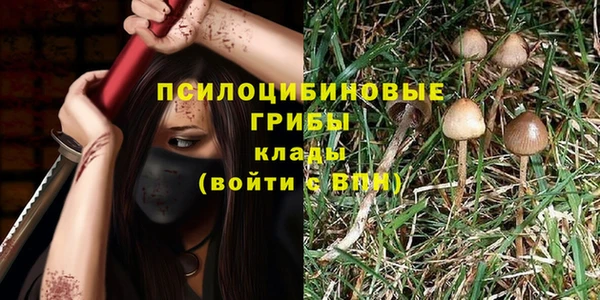 МДПВ Инта