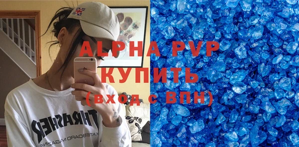 PSILOCYBIN Каменка