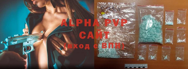 PSILOCYBIN Иннополис